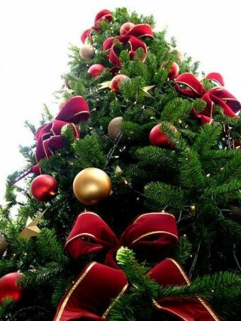 simbolos navideños